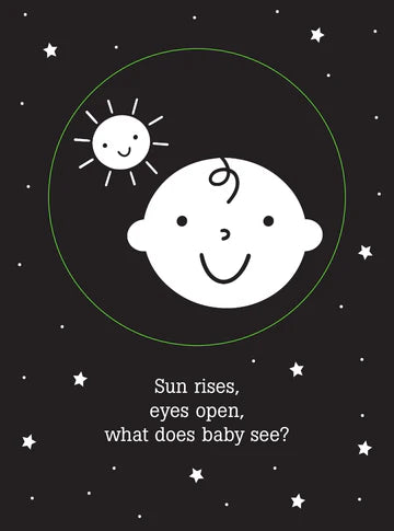 WHAT DOES BABY SEE SHADOW BOOK