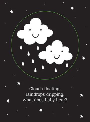 WHAT DOES BABY SEE SHADOW BOOK