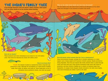 100 QUESTIONS SHARKS