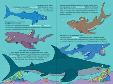 100 QUESTIONS SHARKS
