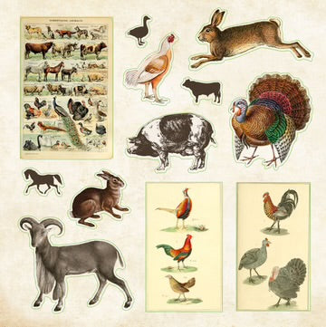 STICKER BY ZOOLOGICAL EPHEMERA