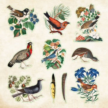 STICKER BY ZOOLOGICAL EPHEMERA
