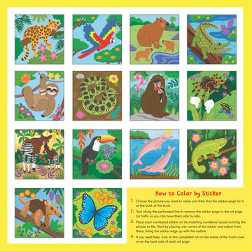 FIRST COLOUR RAINFOREST ANIMAL
