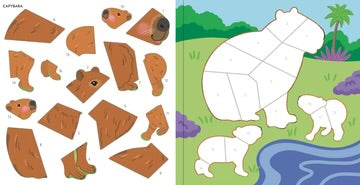 FIRST COLOUR RAINFOREST ANIMAL