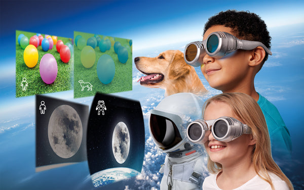 SEE THE WORLD THRU OTHER EYE