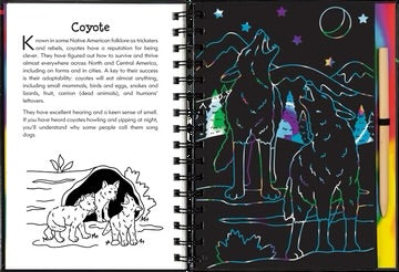 SCRATCH & SKETCH NOCTURNAL ANIMALS