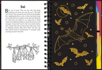 SCRATCH & SKETCH NOCTURNAL ANIMALS