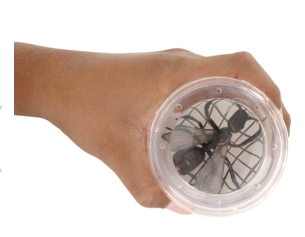 MAGNIFYING BUG VIEWER