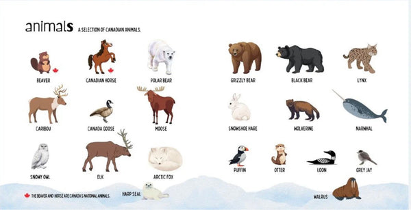 THE MOST CANADIAN BOOK EVER EH