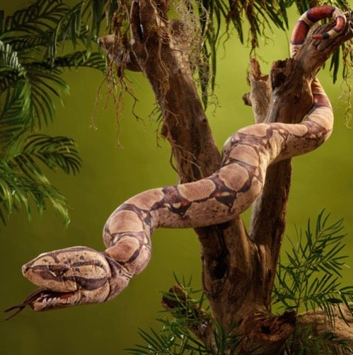 BOA CONSTRICTOR PUPPET