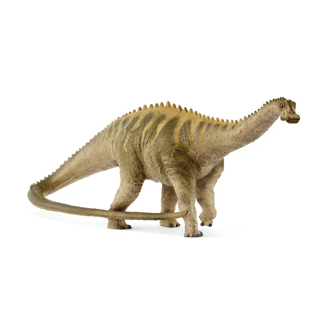 DIPLODCUS