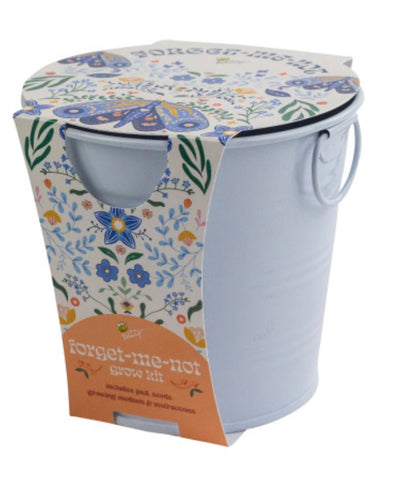 PAINTED FLOWER GROW PAIL FORGET ME NOT