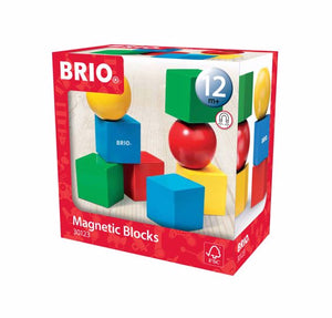 BRIO MAGNETIC BLOCKS